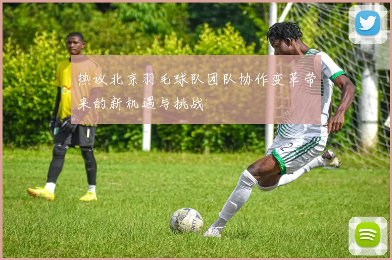 热议北京羽毛球队团队协作变革带来的新机遇与挑战